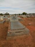 image of grave number 558291